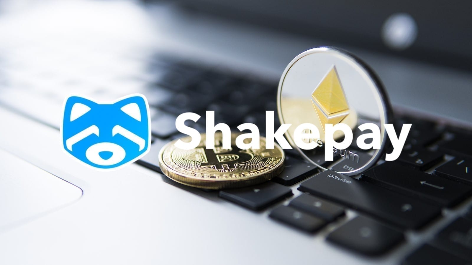 ShakePay: The Best Place To Buy Your 1st Bitcoin?