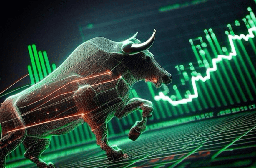 crypto bull run